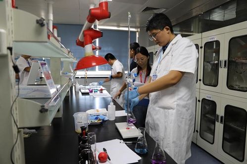臨沂市舉辦2024年食品安全檢驗(yàn)檢測技術(shù)技能競賽 助推生物基材料技術(shù)研發(fā)與高質(zhì)量發(fā)展